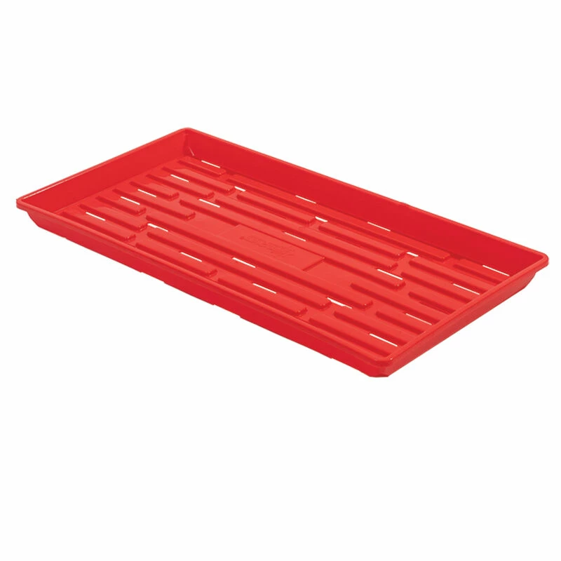 Polypro Shallow Tray (With Holes), Red – 4 Count 3 Polypro Shallow Tray (With Holes), Red – 4 Count