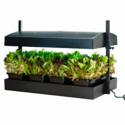 SunBlaster Growlight Garden