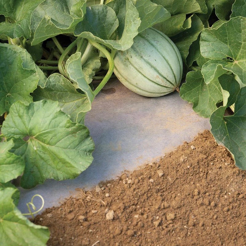 WeedGuardPlus® Paper Mulch – 48" X 100' 3 WeedGuardPlus® Paper Mulch – 48" X 100'