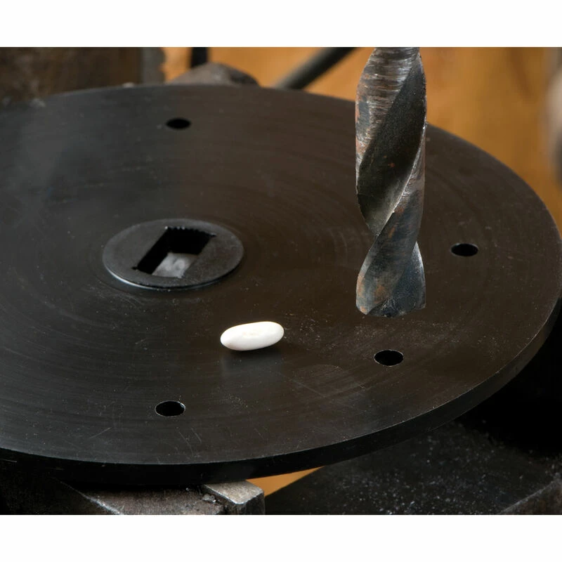 Blank Seed Plate 4 Blank Seed Plate - Image 2