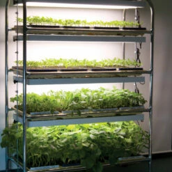Full-Size Seedling Light Cart – 12 Trays, 384 Watts