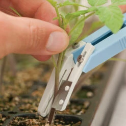 Miter-Cut Grafting Knife 10 Miter-Cut Grafting Knife -JOHNNY SEEDS Sales 07172 04 mitercutgrft knife