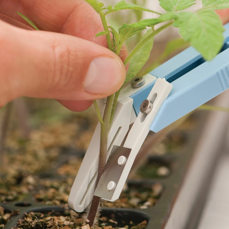 Miter-Cut Grafting Knife 6 Miter-Cut Grafting Knife - Image 4