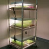 Compact Seedling Light Cart – 6 Trays, 240 Watts -JOHNNY SEEDS Sales 07296 01 compactsdlng light cart 1