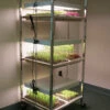 Compact Seedling Light Cart – 6 Trays, 120 Watts -JOHNNY SEEDS Sales 07296 01 compactsdlng light cart