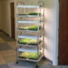 Compact Seedling Light Cart – 8 Trays, 160 Watts