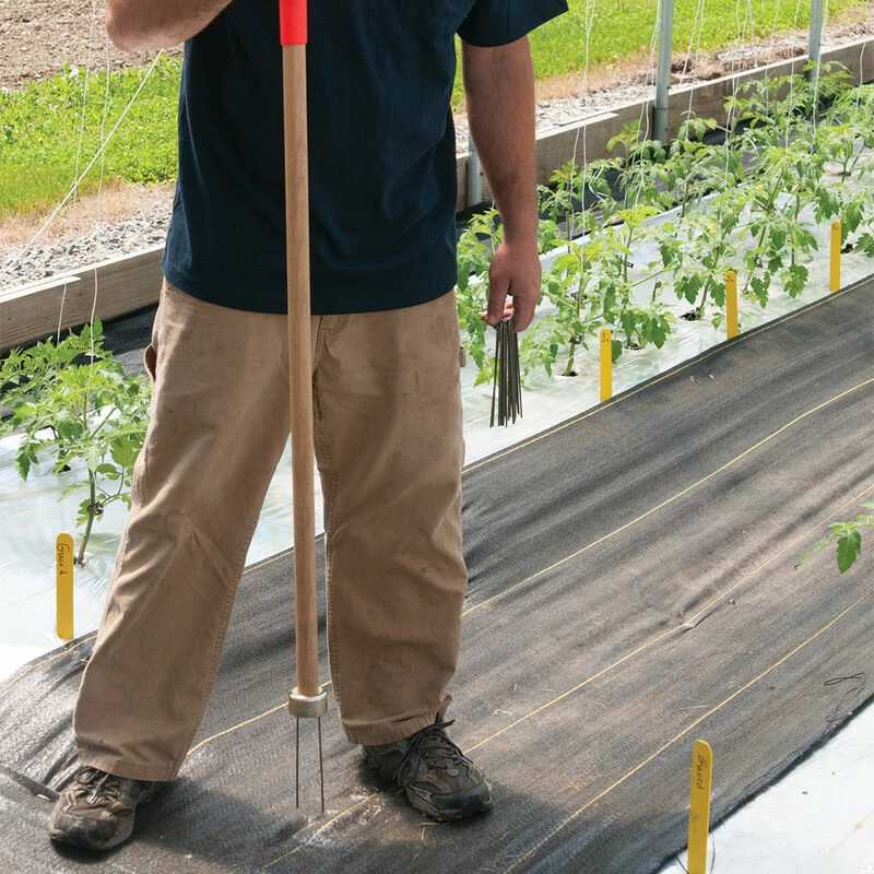 Staple Setter™ 3 Staple Setter™