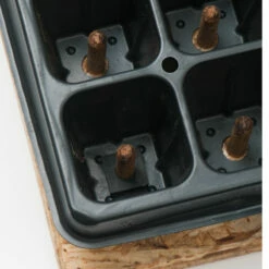 50 Cell Plug Popper -JOHNNY SEEDS Sales 07342 03 plugpopper50