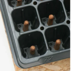 72 Cell Plug Popper -JOHNNY SEEDS Sales 07343 03 plugpopper72