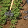 Tine Weeding Rake – 6" -JOHNNY SEEDS Sales 07410 01 tineweedingrake6inwide