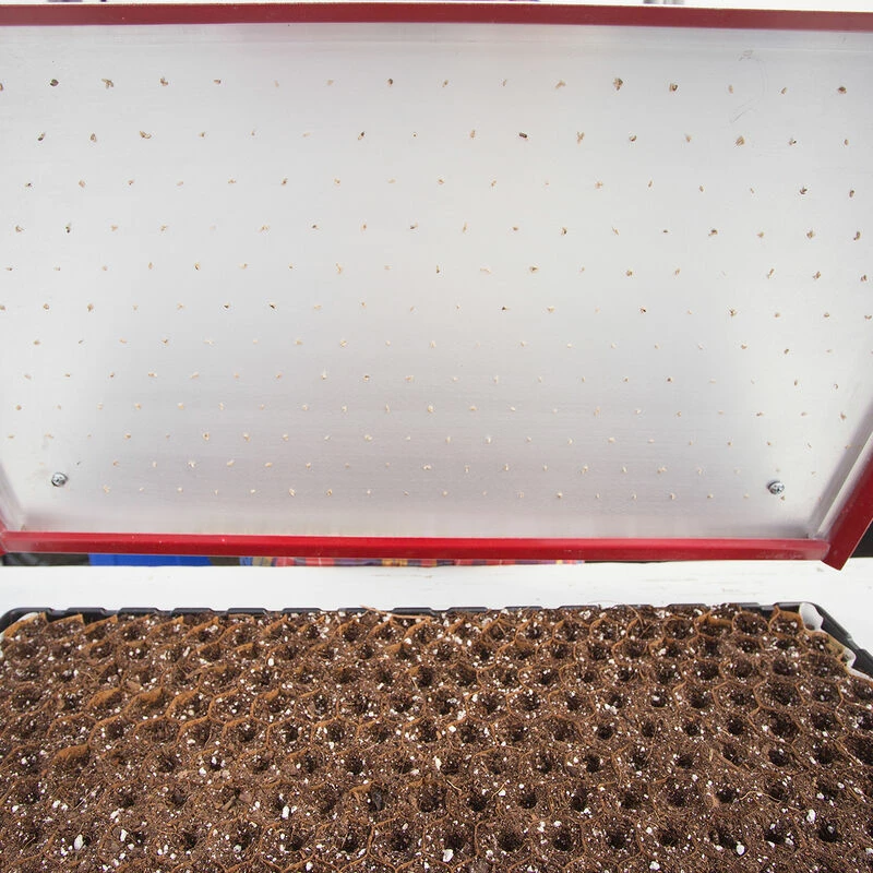 Seed Plate C264 3 Seed Plate C264