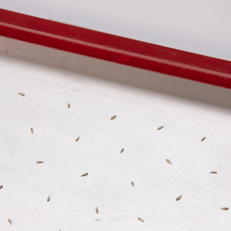 Seed Plate C264 4 Seed Plate C264 - Image 2