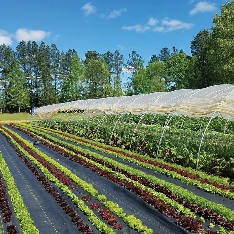 Sunbelt Black Ground Cover – 3' X 300' 3 Sunbelt Black Ground Cover – 3' X 300'