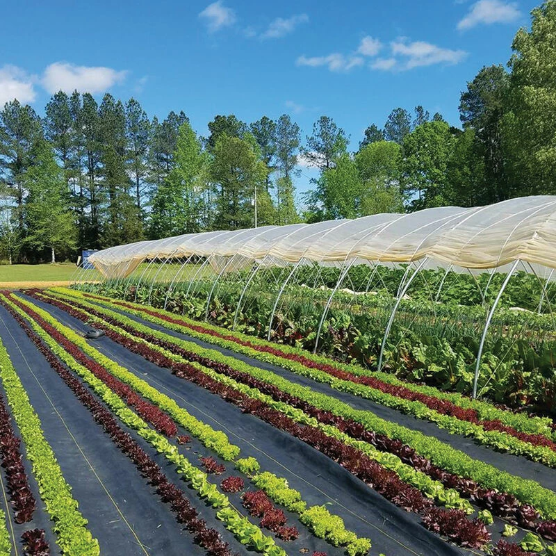 Sunbelt Black Ground Cover – 4' X 300' 3 Sunbelt Black Ground Cover – 4' X 300'