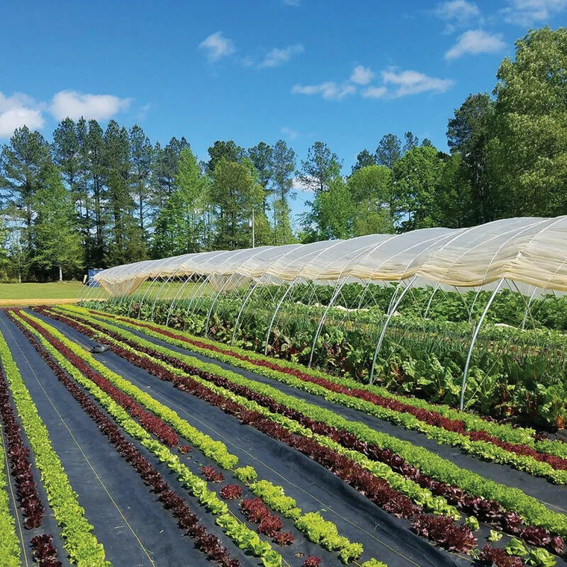 Sunbelt Black Ground Cover – 3' X 100' 3 Sunbelt Black Ground Cover – 3' X 100'