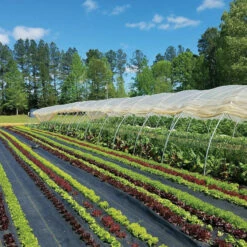 Sunbelt Black Ground Cover – 4' X 100'