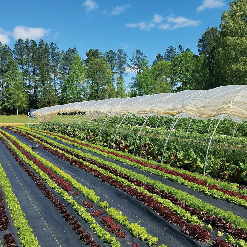 Sunbelt Black Ground Cover – 4' X 100' 3 Sunbelt Black Ground Cover – 4' X 100'