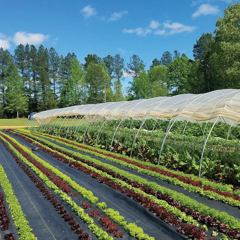 Sunbelt Black Ground Cover – 6' X 300' 3 Sunbelt Black Ground Cover – 6' X 300'