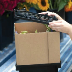 Florida Lid 9 Florida Lid -JOHNNY SEEDS Sales 07925 04 floridalid