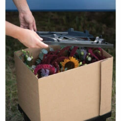 Valencia Lid 9 Valencia Lid -JOHNNY SEEDS Sales 07931 04 valencialid