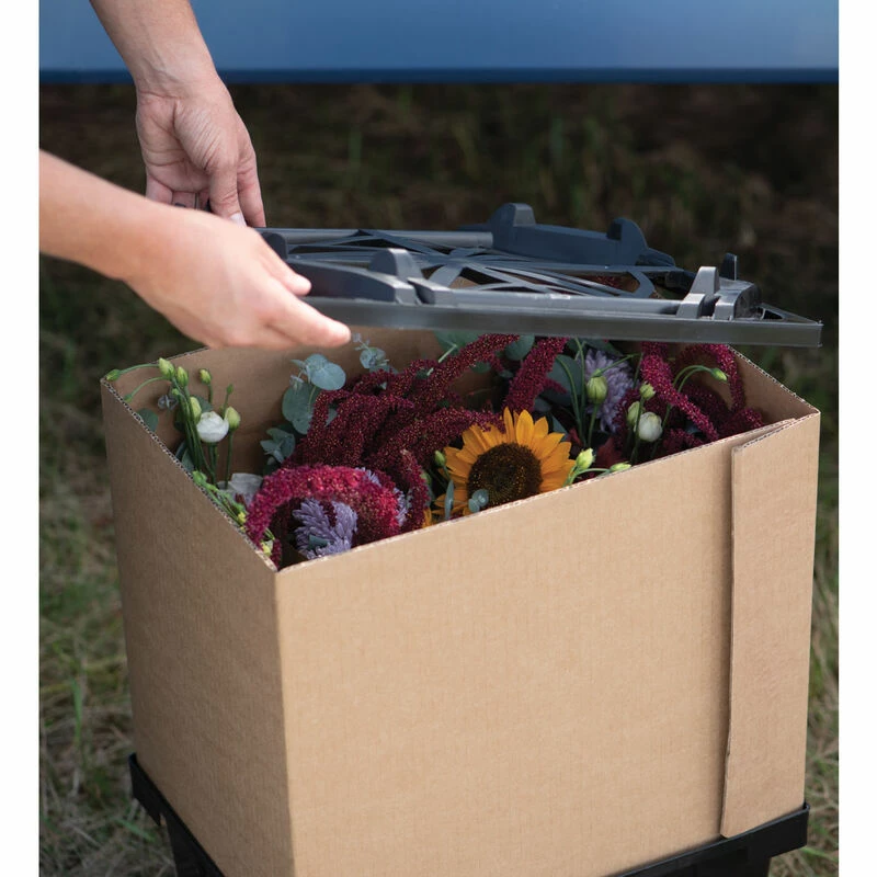 Valencia Lid 6 Valencia Lid - Image 4