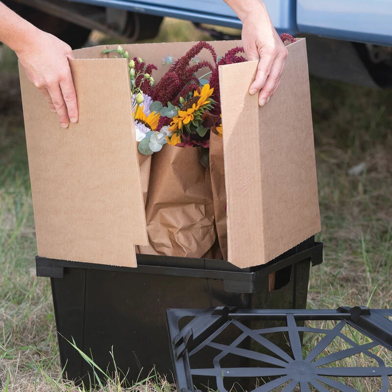 Valencia Collar – 13" 3 Valencia Collar – 13" - Image 2