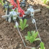 Torsion Weeders 1 Torsion Weeders -JOHNNY SEEDS Sales 07970 01 torsion weeders