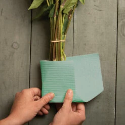 Eco-Wraps™ – S 7 Eco-Wraps™ – S -JOHNNY SEEDS Sales 07972 02 standard hydrating wraps