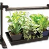 Strip Light Stand -JOHNNY SEEDS Sales 08346 01 strip light stand