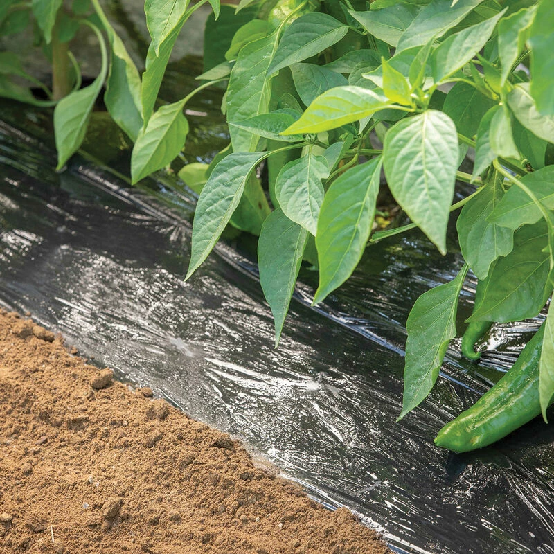 Bio360 Mulch – 4' X 500' 3 Bio360 Mulch – 4' X 500'