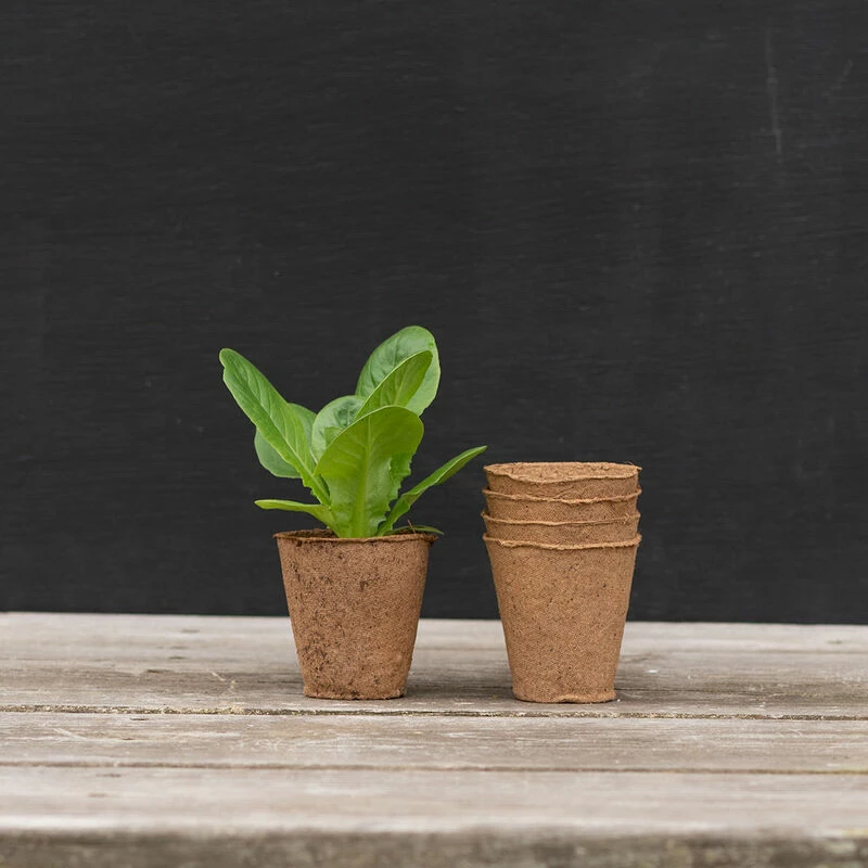 2 1/3" Round Fertil Pots – 160 Count 3 2 1/3" Round Fertil Pots – 160 Count