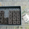 Soil Block Propagation Trays – 50 Count -JOHNNY SEEDS Sales 09397 01 sbproptray