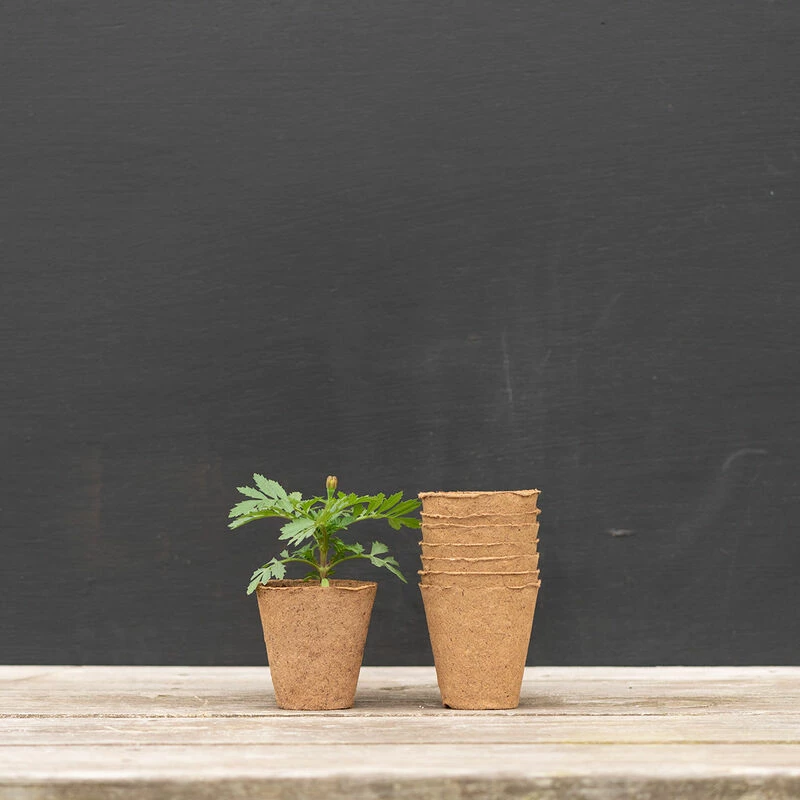 3 1/8" Round Fertil Pots – 1,370 Count 3 3 1/8" Round Fertil Pots – 1,370 Count