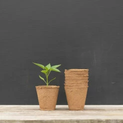 4" Round Fertil Pots – 50 Count