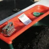 Tray Shelf -JOHNNY SEEDS Sales 09688 01 trayshelf