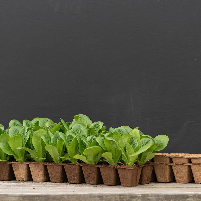 18 Cell Fertil Pots Strip – 111 Count 3 18 Cell Fertil Pots Strip – 111 Count