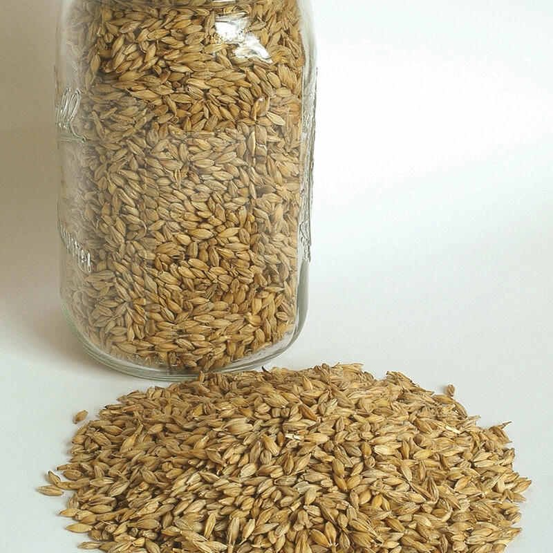 Barley (Robust) 3 Barley (Robust)