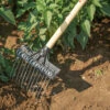 Tine Weeding Rake – 9" -JOHNNY SEEDS Sales 7408 01 tineweedingrake9in